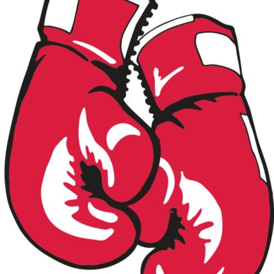 AR BOXING 17 RC 縮圖