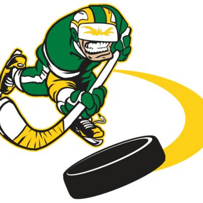 AR32 HOCKEY 02 RQC 縮圖