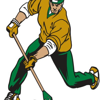 AR20 BROOMBALL 12 RQC 縮圖