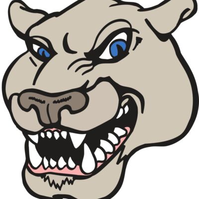 AR5 COUGAR 10 RQC 縮圖