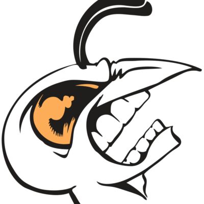 BAW BEE 19 RC 縮圖