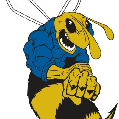 AR5 BEE 29 RQC 縮圖