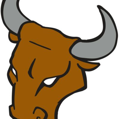 AR BULL 28 RC 縮圖