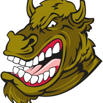 BUFFALO HD0501 RQC 縮圖