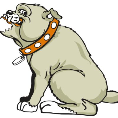 AR BDOG 26 RC 縮圖