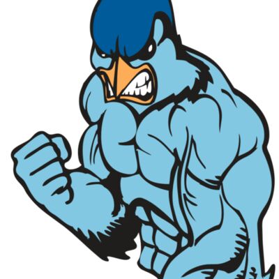 BAW BLUEJAY 13 RC 縮圖