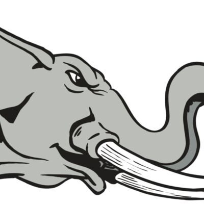 AR ELEPH 16 RC 縮圖