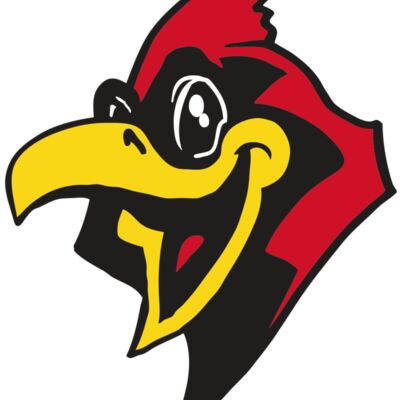 AR CARDINAL 36 RC 縮圖