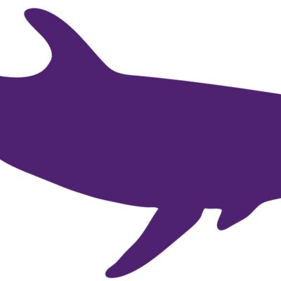 AR DOLPIN 12 RC 縮圖