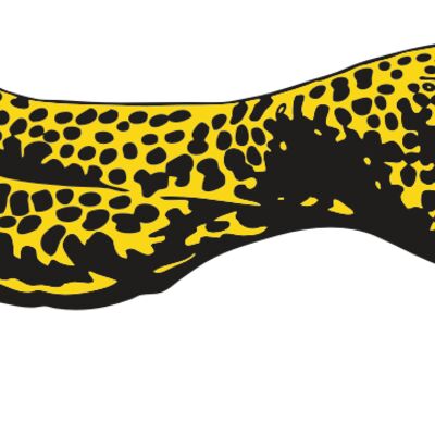 AR CHEETAH 12 RC 縮圖