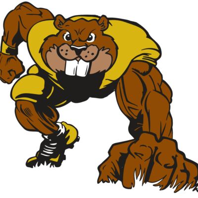 AR14 BEAVER FBLL 03 RQC 縮圖