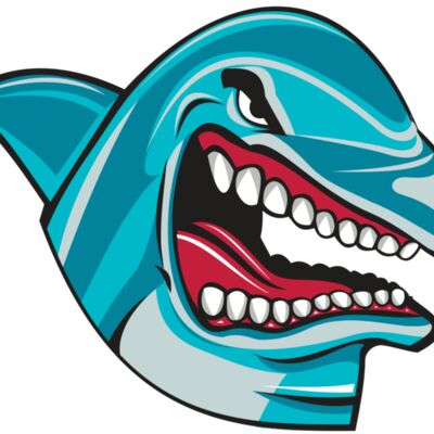 DOLPHIN HD0501 RQC 縮圖