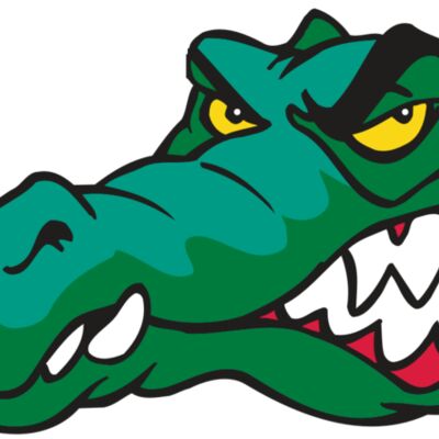 AR GATOR 18 RQC 縮圖