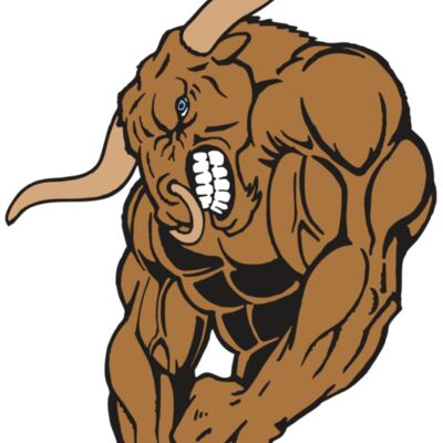 AR5 BULL 18 RQC 縮圖