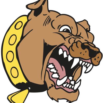 AR BDOG 49 RC 縮圖