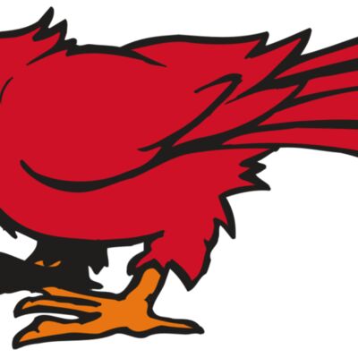 AR CARDINAL 59 RC 縮圖