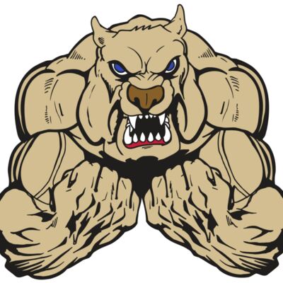 AR5 Bulldog 16 RQC 縮圖