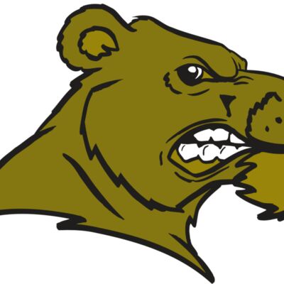 AR BEAR 11 RC 縮圖