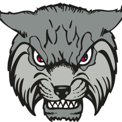 BAW BOBCAT 02 RC 縮圖