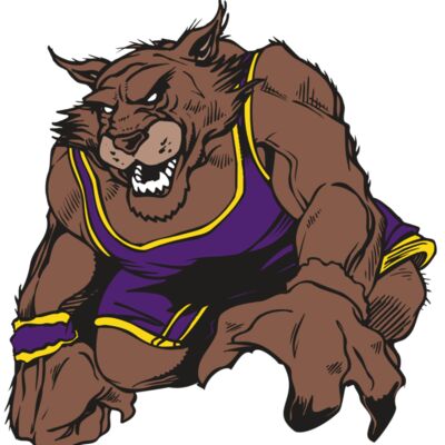 AR WILDCAT 23 RC 縮圖