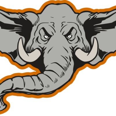 AR ELEPH 11 RC 縮圖