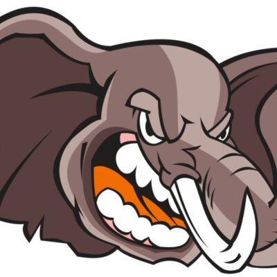 ELEPHANT HD0503 RQC 縮圖