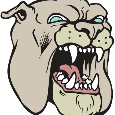 AR BDOG 42 RC 縮圖