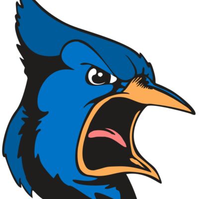 BAW BLUEJAY 03 RC 縮圖