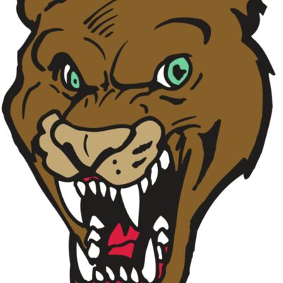 AR5 COUGAR 16 RQC 縮圖