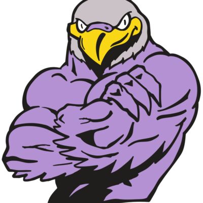 AR FALCON 32 RC 縮圖