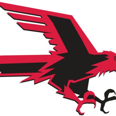 AR9 FALCON 02 RQC 縮圖