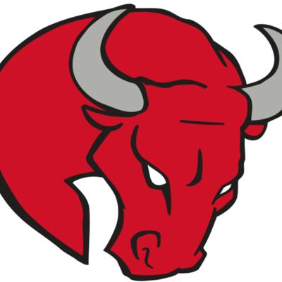 AR BULL 24 RC 縮圖