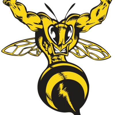 BAW BEE 04 RC 縮圖