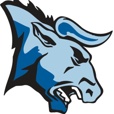 AR BULL 20 RC 縮圖