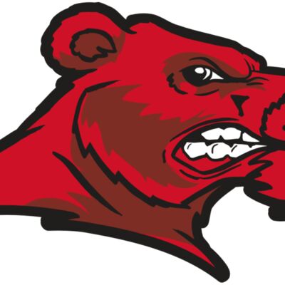 AR BEAR 55 RC 縮圖