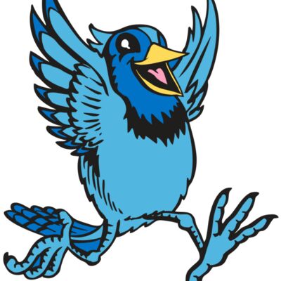 BAW BLUEJAY 09 RC 縮圖