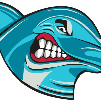 DOLPHIN HD0504 RQC 縮圖