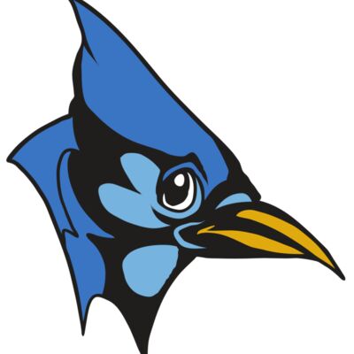 AR31 BLUEJAY 03 RQC 縮圖