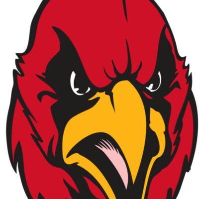 BAW CARDINAL 11 RC 縮圖