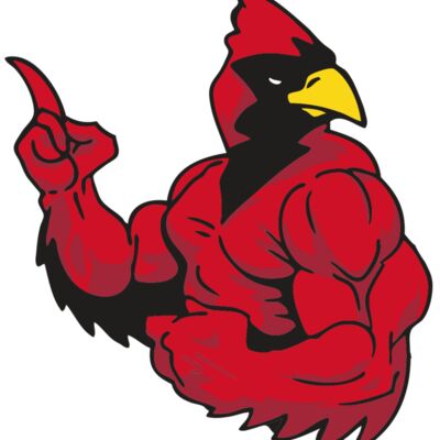 AR CARDINAL 28 RC 縮圖