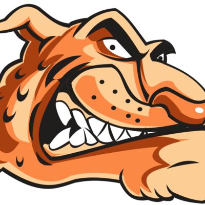 CHEETAH HD0503 RQC 縮圖