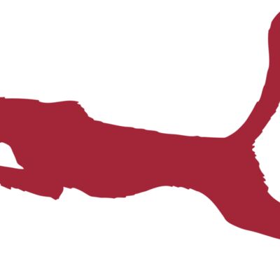 AR CHEETAH 11 RC 縮圖