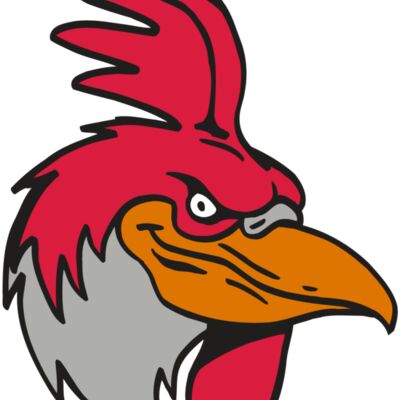 AR5 Gamecock 05 RQC 縮圖