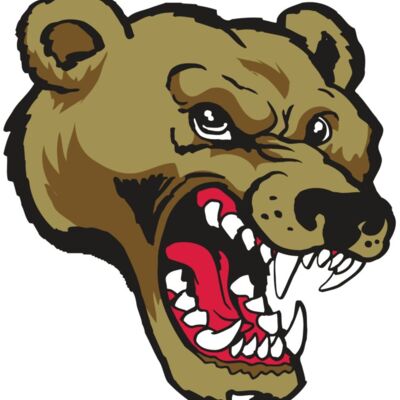 AR10 BEAR 01 RQC 縮圖