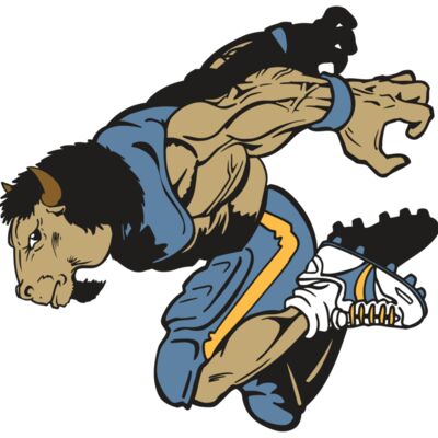 AR14 BUFFALO FBLL 07 RQC 縮圖