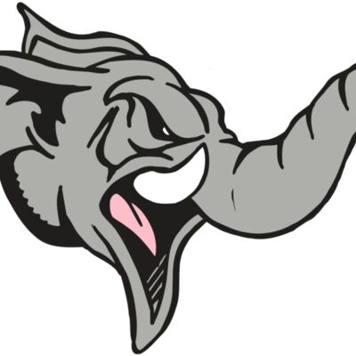 AR5 Elephant 03 RQC 縮圖