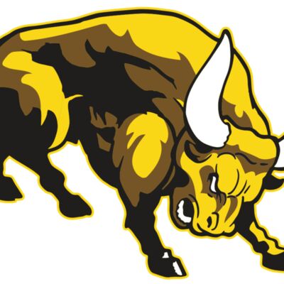 AR BULL 57 RC 縮圖