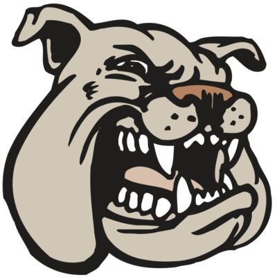 AR BDOG 38 RC 縮圖