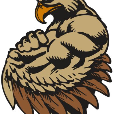 BAW HWK FLCN 02 RC 縮圖