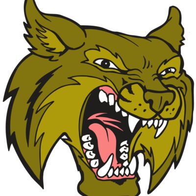 AR5 BOBCAT 20 RQC 縮圖